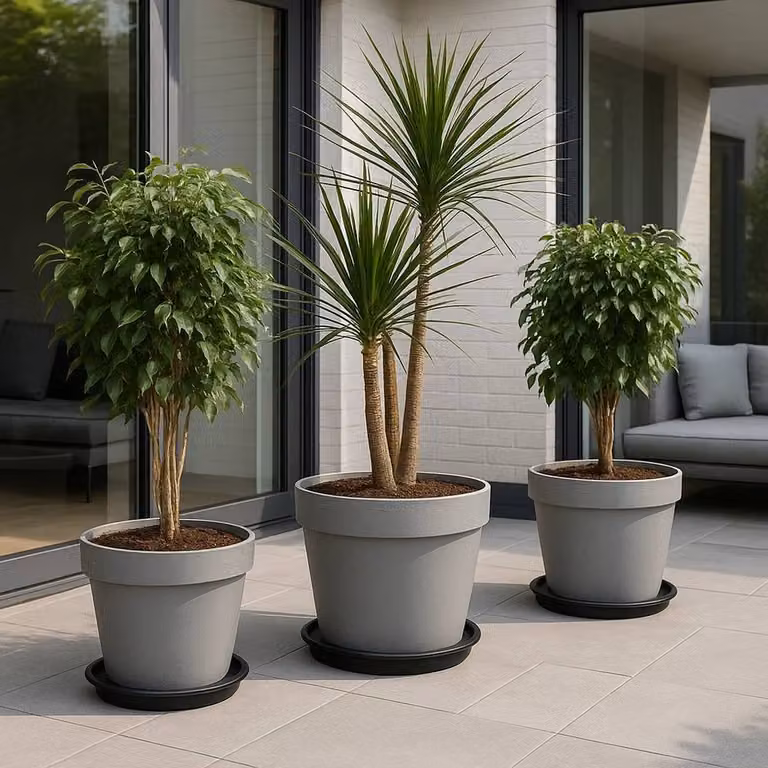 NESTLUNE 5 Pack Black Plastic Plant Pot Drip Trays