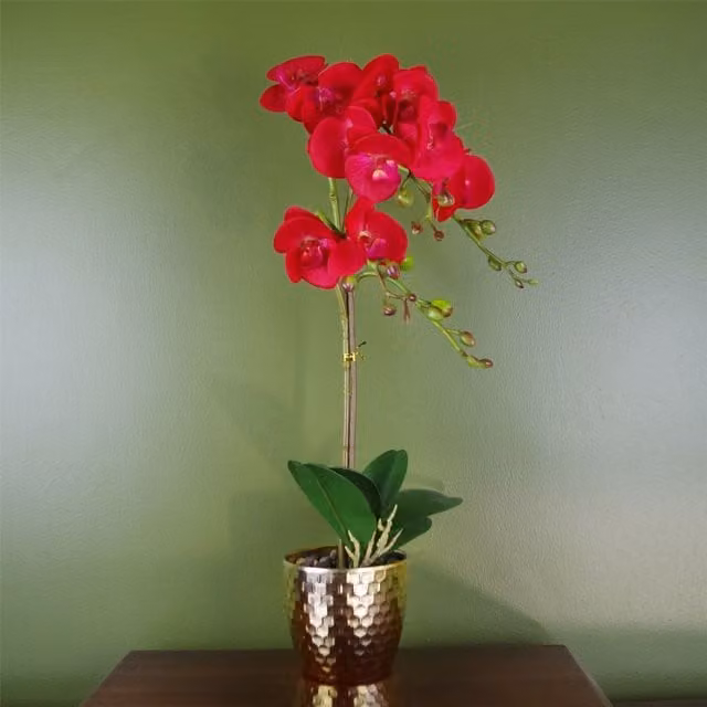 Botanik Realistic Artificial Phalaenopsis Orchid Plant in Red Leopard Print Gold Pot, Height: 50 cm