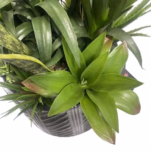 Leaf UK 107cm Green Artificial Yukka Plant in a Concrete Pot – 4
