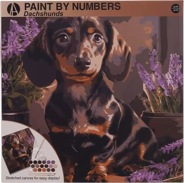 Arts Studio Paint By Number Dachshund Canvas in Brown and Multicolour for Adults