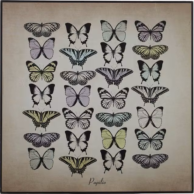 Maison by Premier Madera Papilio Butterfly Wall Plaque in Assorted Beige, Black and Multicolour