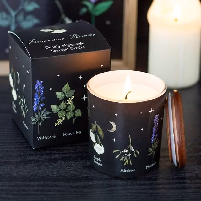 Uniqueful Deadly Nightshade Scented Pillar Candle in Black, 100g