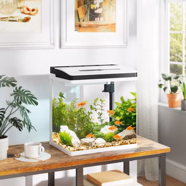 PAWHUT 28L Glass Aquarium Fish Tank for Betta, Guppy, Mini Parrot Fish and Shrimp, White