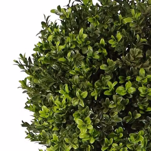 Leaf Pair of Artificial Green Buxus Ball Topiary Trees, Height: 120 cm, Width: 35 cm, Depth: 35 cm – 2
