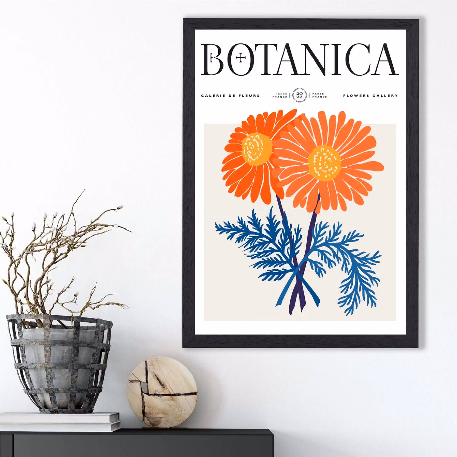 ARTZE Blue and Orange Chrysanthemum Flower Botanical Illustration Framed Print in Black Frame, A4 – 2
