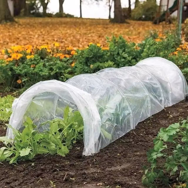 Marco Paul Mini Polytunnel Greenhouse in Clear with Galvanised Steel Frame