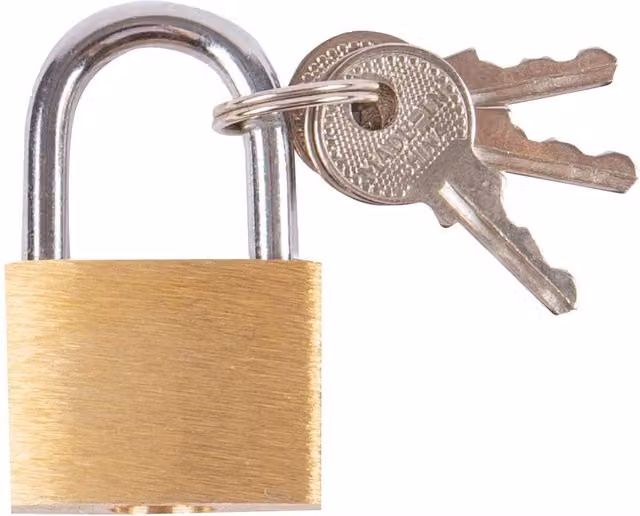 Blackspur Brass Padlock and Keys in Gold/Yellow, W/D/H: 6.5 x 2.0 x 6.5 cm