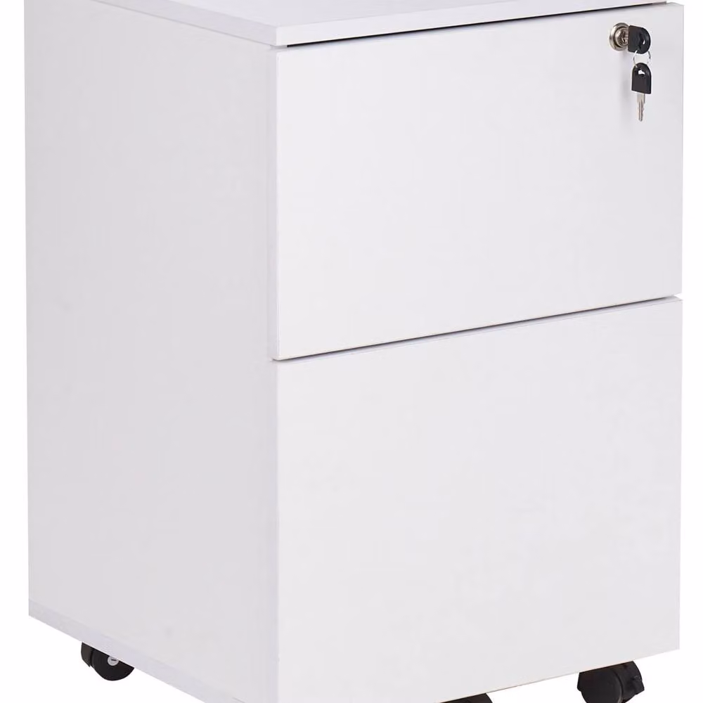 Wyld and Coco White Matt Engineered Wood Mobile 2-Drawer Office Cabinet – 2