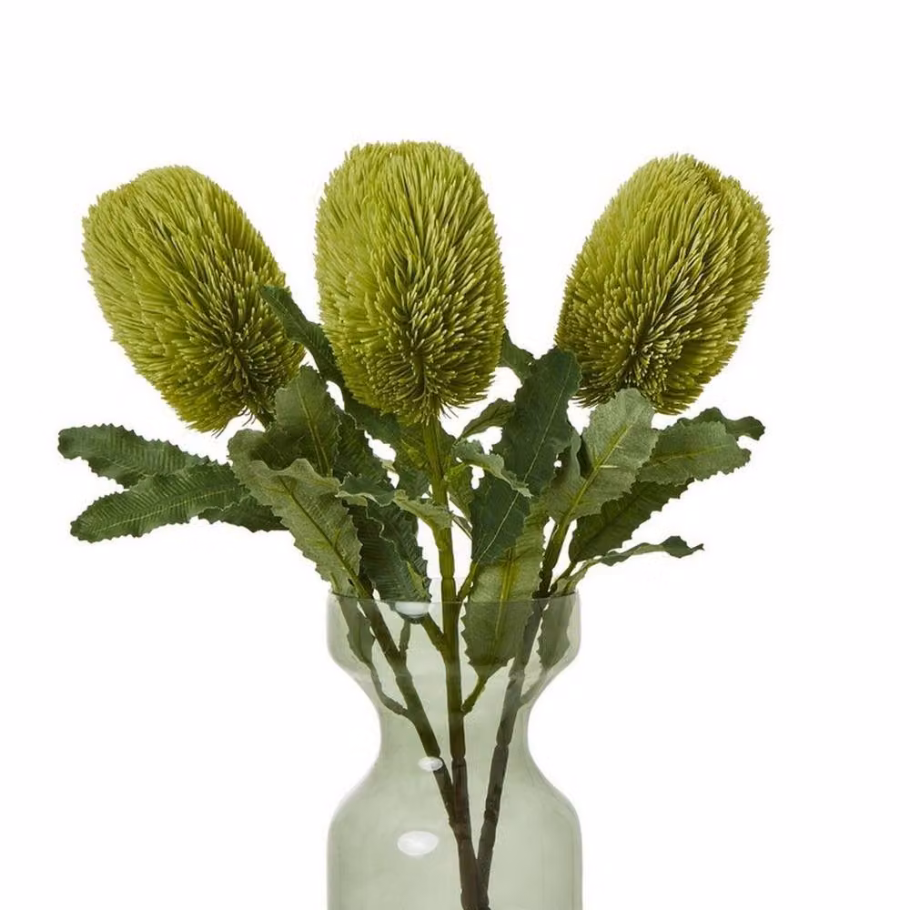 Lemon Pavilion Large Banksia Serrata Single Stem Flower, Green, Height: 65 cm – 2