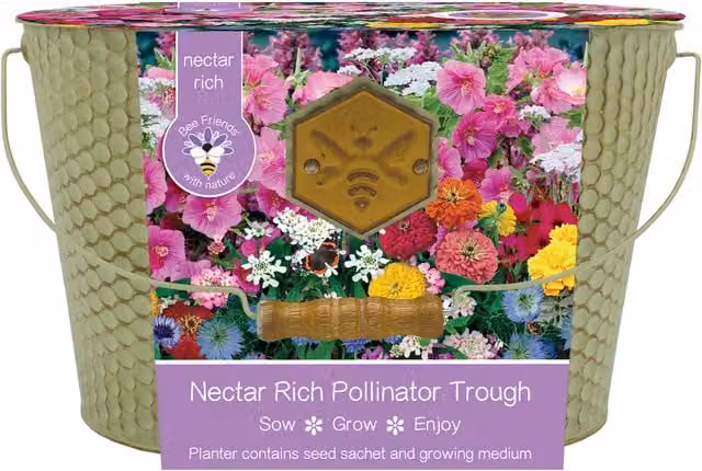 Bee Friends Honeycomb Metal Trough Planter in Green