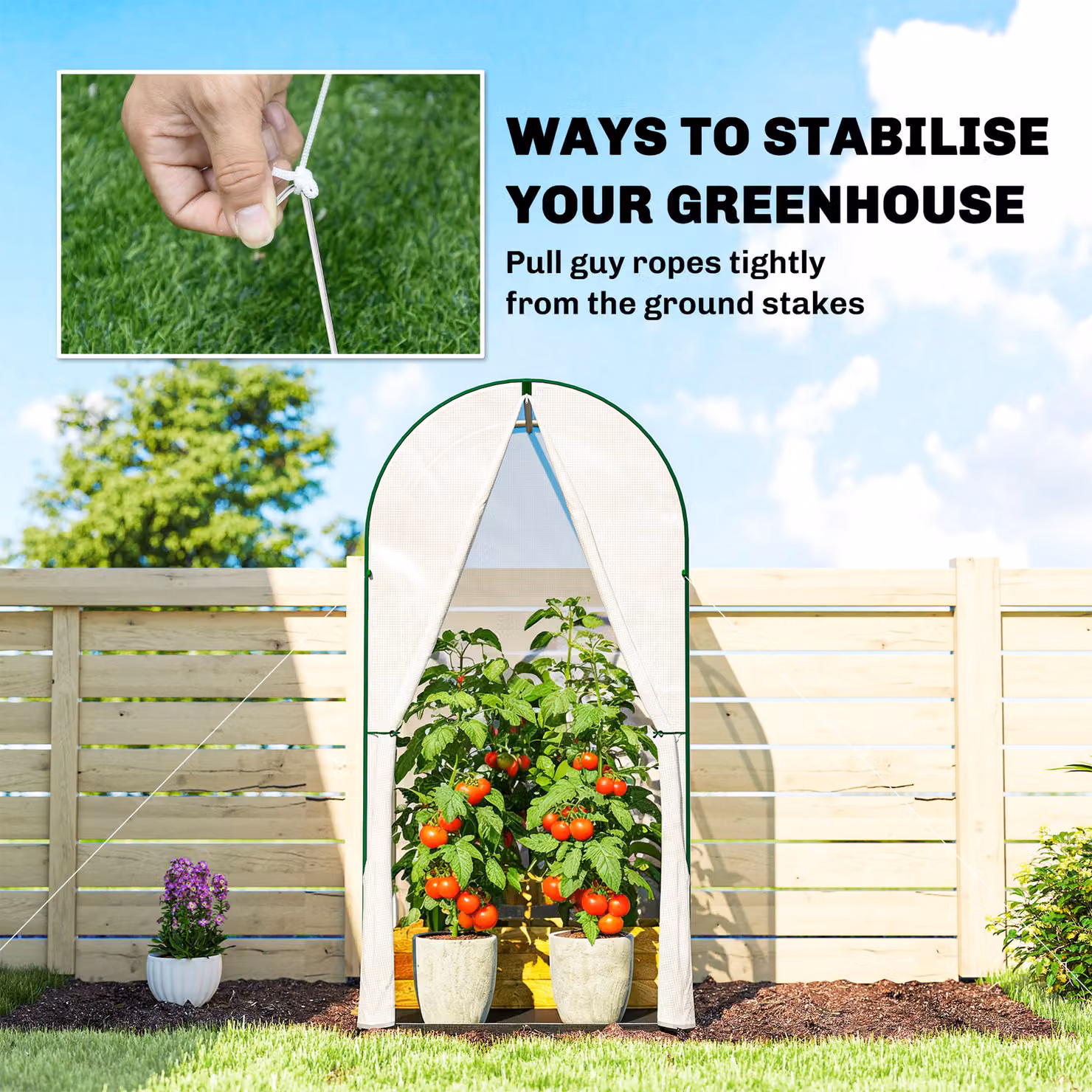 Outsunny Mini Portable Greenhouse with Roll-Up Door and PE Base, White, W/D/H: 100 x 100 x 195 cm – 5