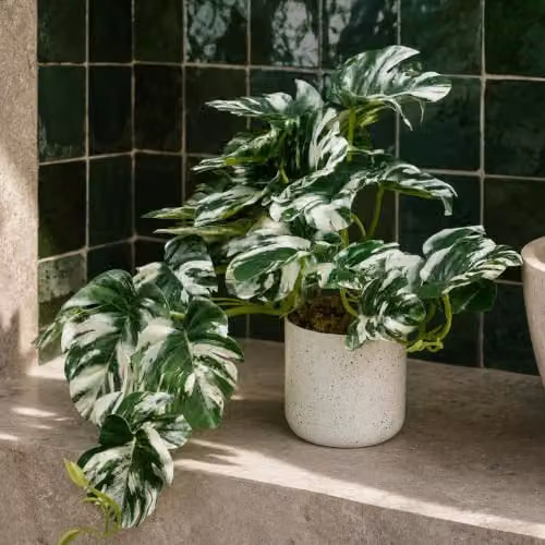 Leaf Design UK Artificial Potted Monstera Plant, Green, H 30 cm x W 30 cm x D 30 cm – 2
