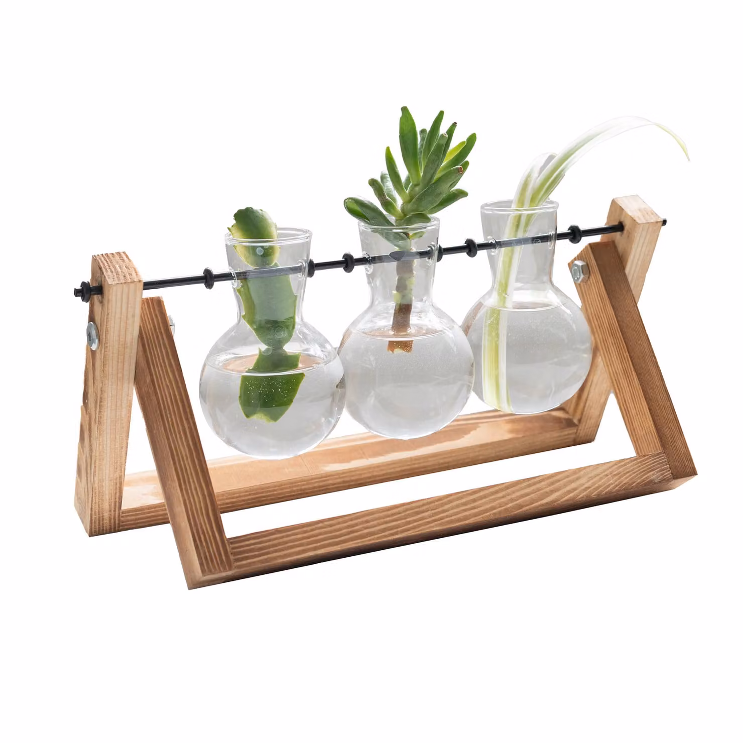 Menkind #Winning Triple Propagation Vases Set with Brown Wooden Stand and Metal Swivel Hydroponic Plant Terrarium – 3