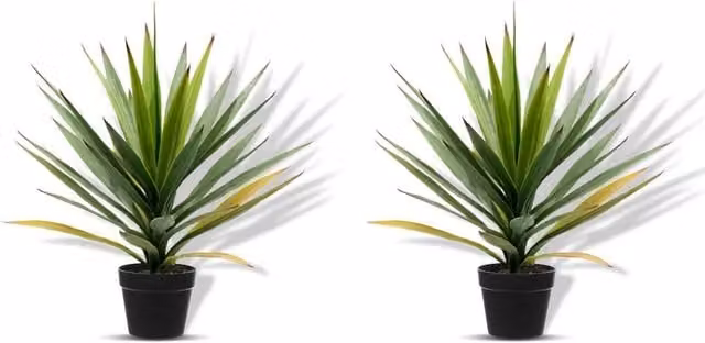 NESTLUNE Set of 2 Green Artificial Agave Succulent Trees, Height: 50 cm
