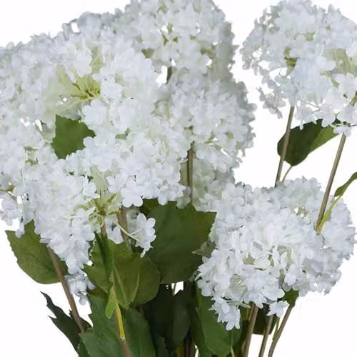 Hill Interiors Viburnum Opulus Artificial Flower in White and Green, W18 x D7 x H75 cm – 4