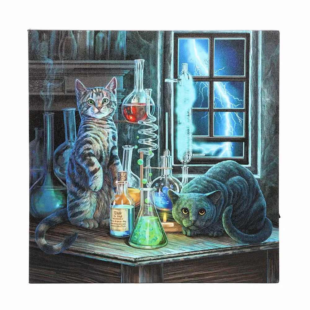 Lisa Parker Jekyll & Hyde Light Up Multicolour Canvas in Black, W/D/H: 30.0 x 30.0 x 2.5 cm – 3
