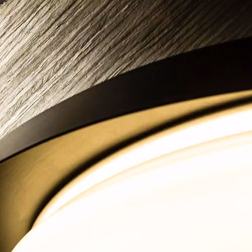 FARO BARCELONA Modern LED Ceiling Light in Black with Wood Details, 24W, 3000K Warm White – 3