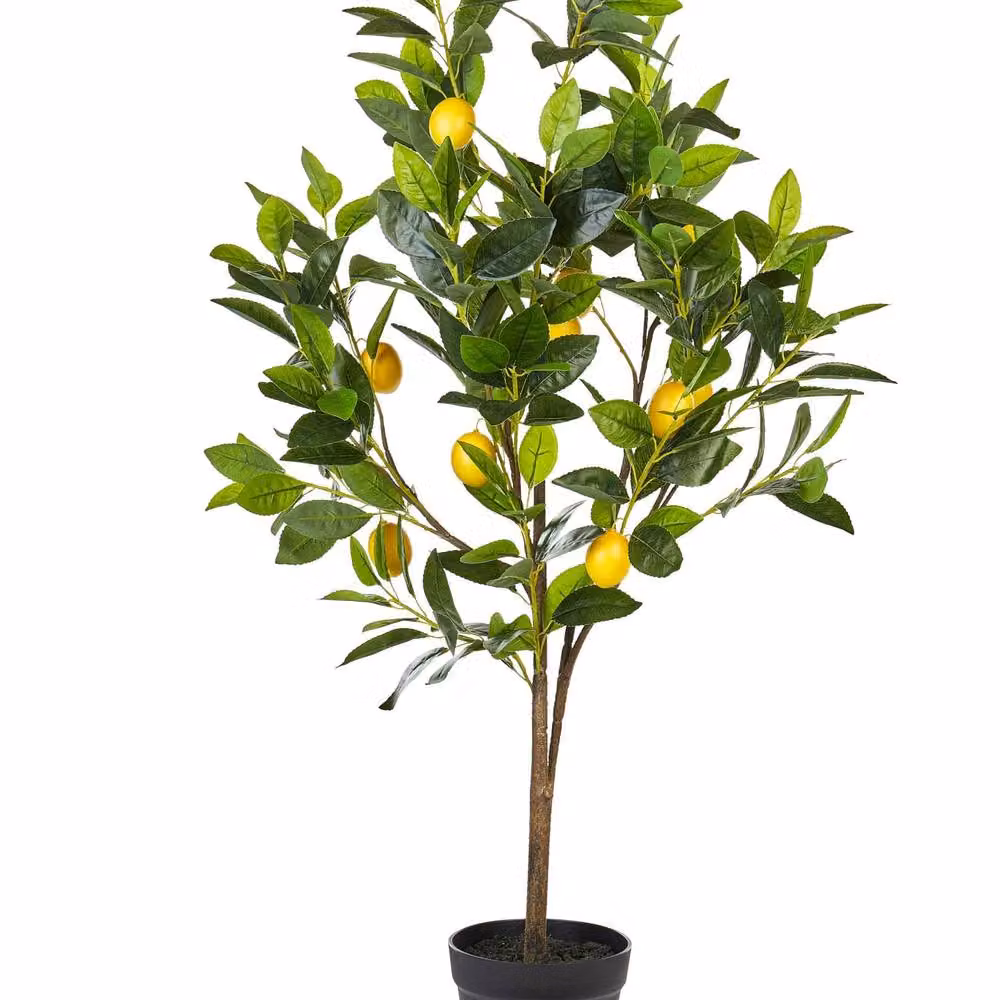 Wyld and Coco Artificial Citrus Tree with Concrete Base in Green and Yellow, Height: 105 cm – 2