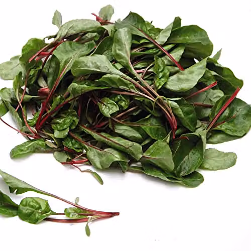 Thompson and Morgan Swiss Chard Fire Fresh Beta vulgaris Vegetable Seed, 200 Seeds – 2