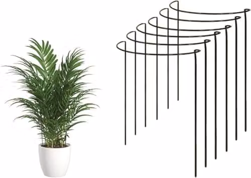 Garden Pride Green Metal Ring Cage Plant Support Stakes for Pots and House Plants, H 60 cm x W 30 cm