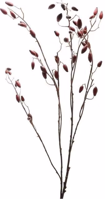 Hill Interiors Rosehip Artificial Plant in Red