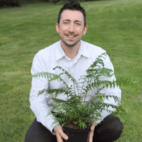 Thompson and Morgan Dicksonia Antarctica Australian Tree Fern, 2 x 0.5ft Trunk, Green Perennial Plant – 2