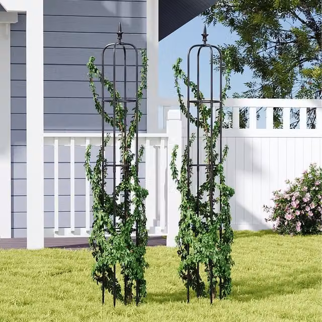 Lifeideas Obelisk Climbing Plant Support, 2 Pieces, Black