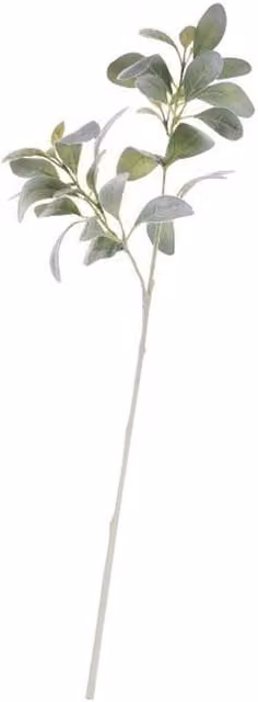 Kingsbury Gifts Artificial Lambs Ear Green, Height: 70 cm