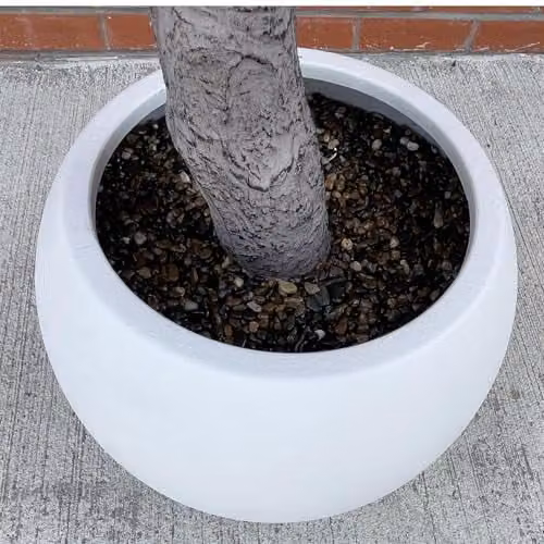 Leaf Design UK XL Artificial Green Tree in Decorative Planter, Height: 160 cm – 3