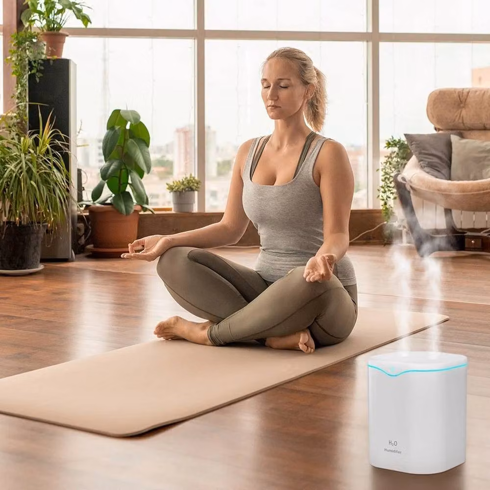 Havendro 2L Double Spout Air Purifier Humidifier and Cool Mist Aroma Diffuser, White – 5