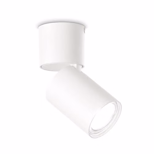 Netlighting Toby Adjustable Surface Mounted Downlight White
