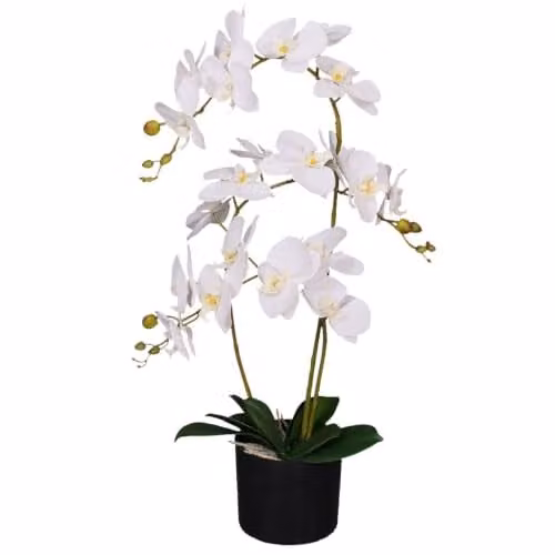 Leaf Design Realistic Artificial White Orchid Flower Display in Pot, Height: 65 cm