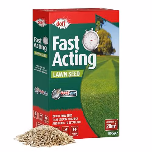 Doff Fast Growing Lawn Seed, 500g – 2
