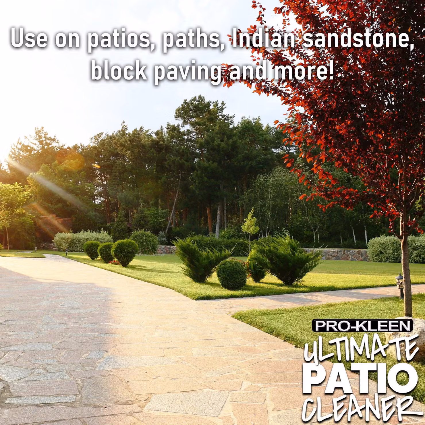 ProKleen Ultimate Patio Cleaner and Black Spot Remover, 3 x 5 l – 5