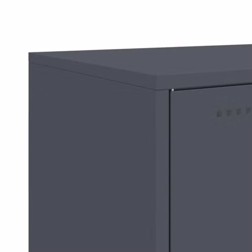 vidaXL Anthracite Steel Highboard W/D/H: 100.5 x 39 x 107 cm – 7