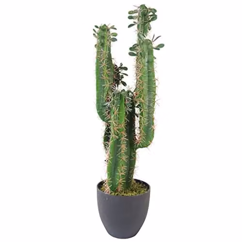 Leaf Premium Artificial Potted Succulent Cactus in Green and Black, Height: 75 cm – 1