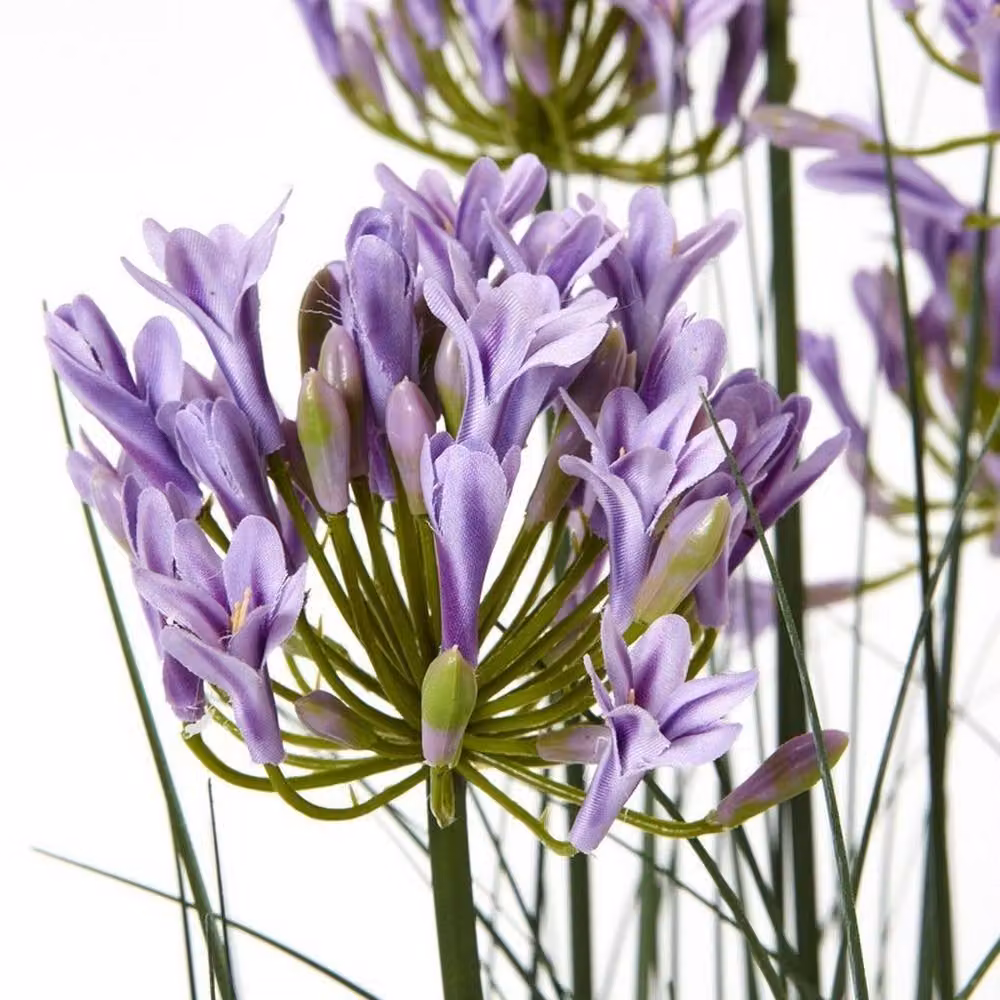 Lemon Pavilion Furniture and Decor Large Purple Agapanthus Potted Plant, Green, W: 14 cm, D: 14 cm, H: 120 cm – 2