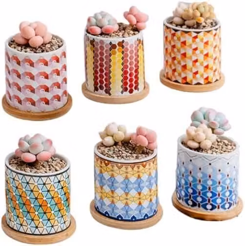 Simpa 6-Piece Multicolour Gradient Pattern Ceramic Plant Pots with Bamboo Bases