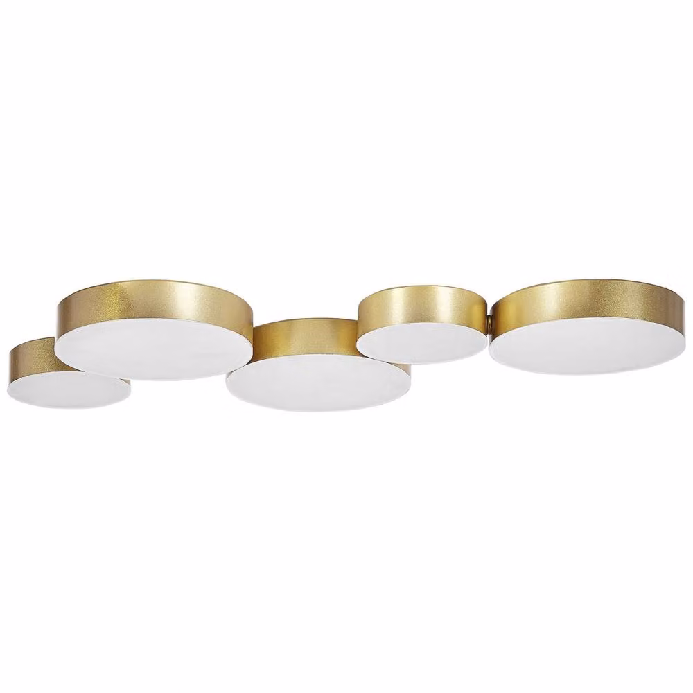 Wyld and Coco Gold 5-Light Integrated LED Ceiling Lamp – 2
