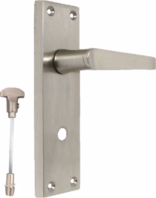 Betley Butterfly Brushed Silver Screw Door Handle