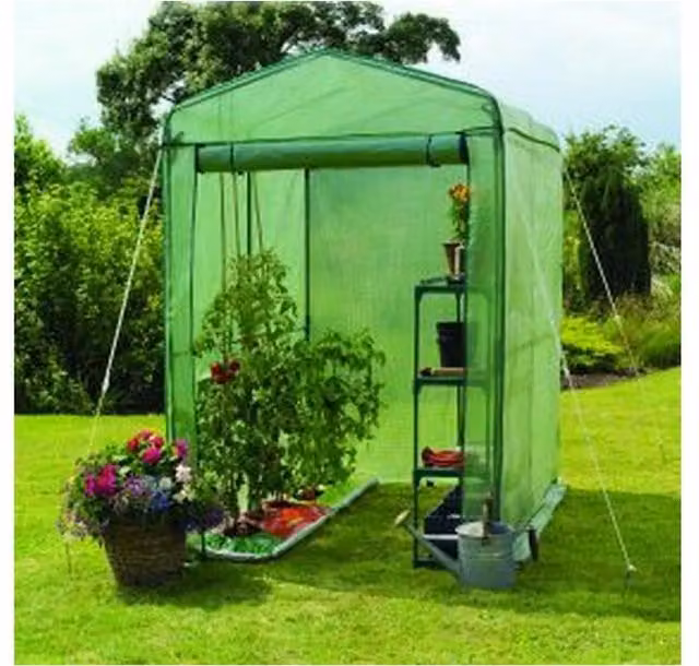 Samuel Alexander Extra Large Walk In Garden Greenhouse, Green, W: 200 cm, D: 120 cm, H: 240 cm