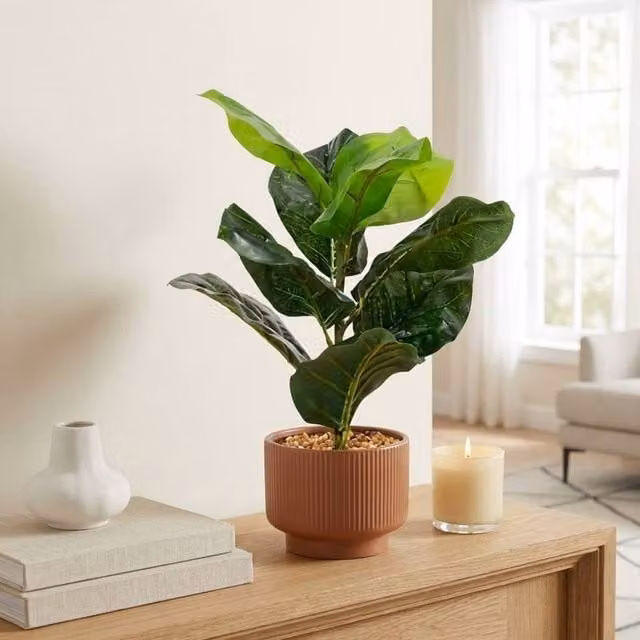 Garden Greatness Artificial Fiddle Leaf Plant in a Green Multicolour Ceramic Pot, H 33 cm x W 12 cm x D 12 cm