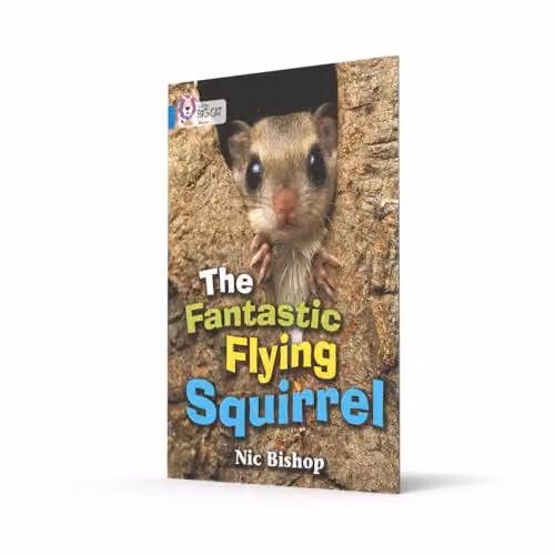 Collins Big Cat The Fantastic Flying Squirrel Information Book with Photographs – 2