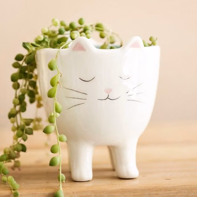 Lisa Angel White Ceramic Sleepy Standing Cat Tabletop Planter