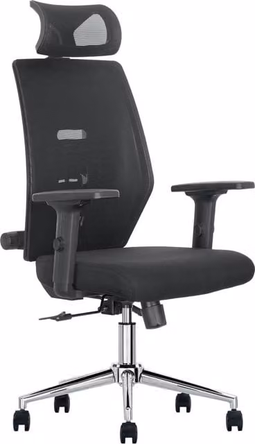 JFY Executive Padded Swivel Office Chair with Headrest and Armrests in Black Fabric