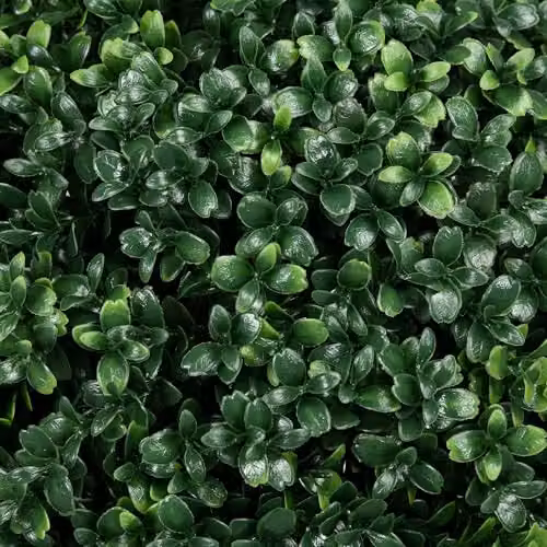 HOMCOM Set of 2 Green Artificial Boxwood Topiary Ball Bushes, UV Resistant, Diameter: 40 cm, Height: 70 cm – 7