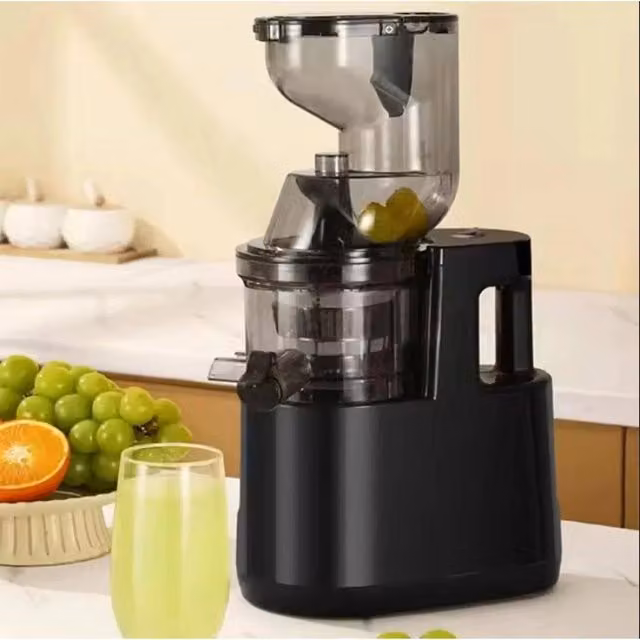 NESTLUNE Slow Juicer Electric Fruit Squeezer in Black – 1
