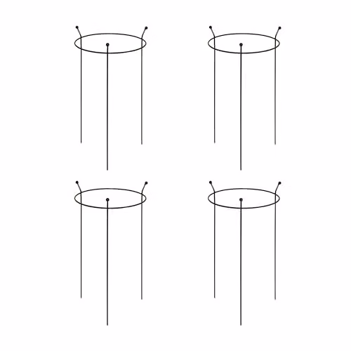 Samuel Alexander 4 Pack of Heavy Duty Steel Herbaceous Plant Support Rings in Black, H 60 cm x W 35 cm x D 35 cm – 1