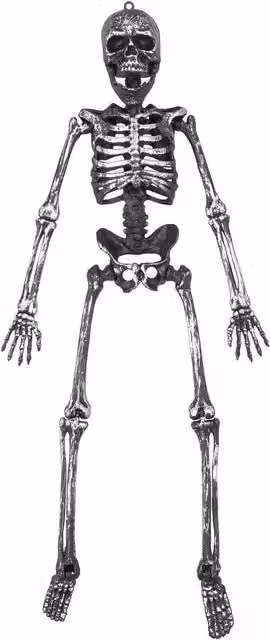 VFM e-Store Hanging Skeleton Decoration for Halloween Parties in Silver – 1