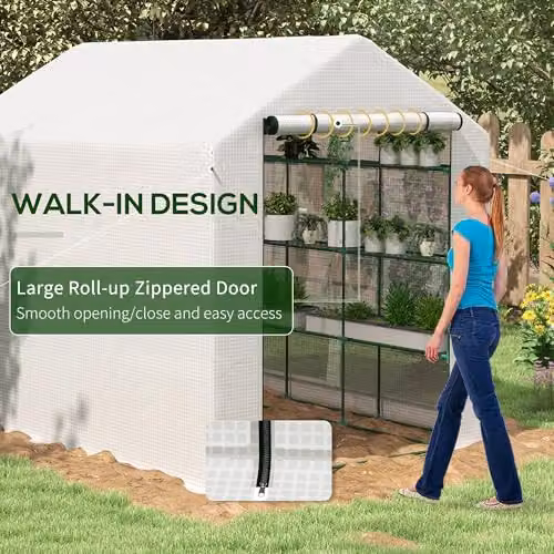 Outsunny Walk-in Gable Greenhouse with Shelving, White, W/D/H: 180 x 180 x 210 cm – 4